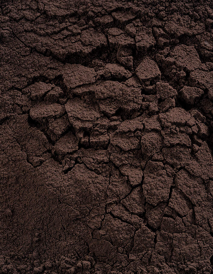 Какао порошок черный 10-12% Noir Intense Cacao Barry (0,2 кг)